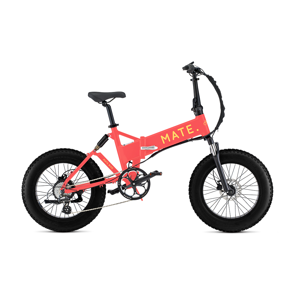 MATE X Caribbean Coral